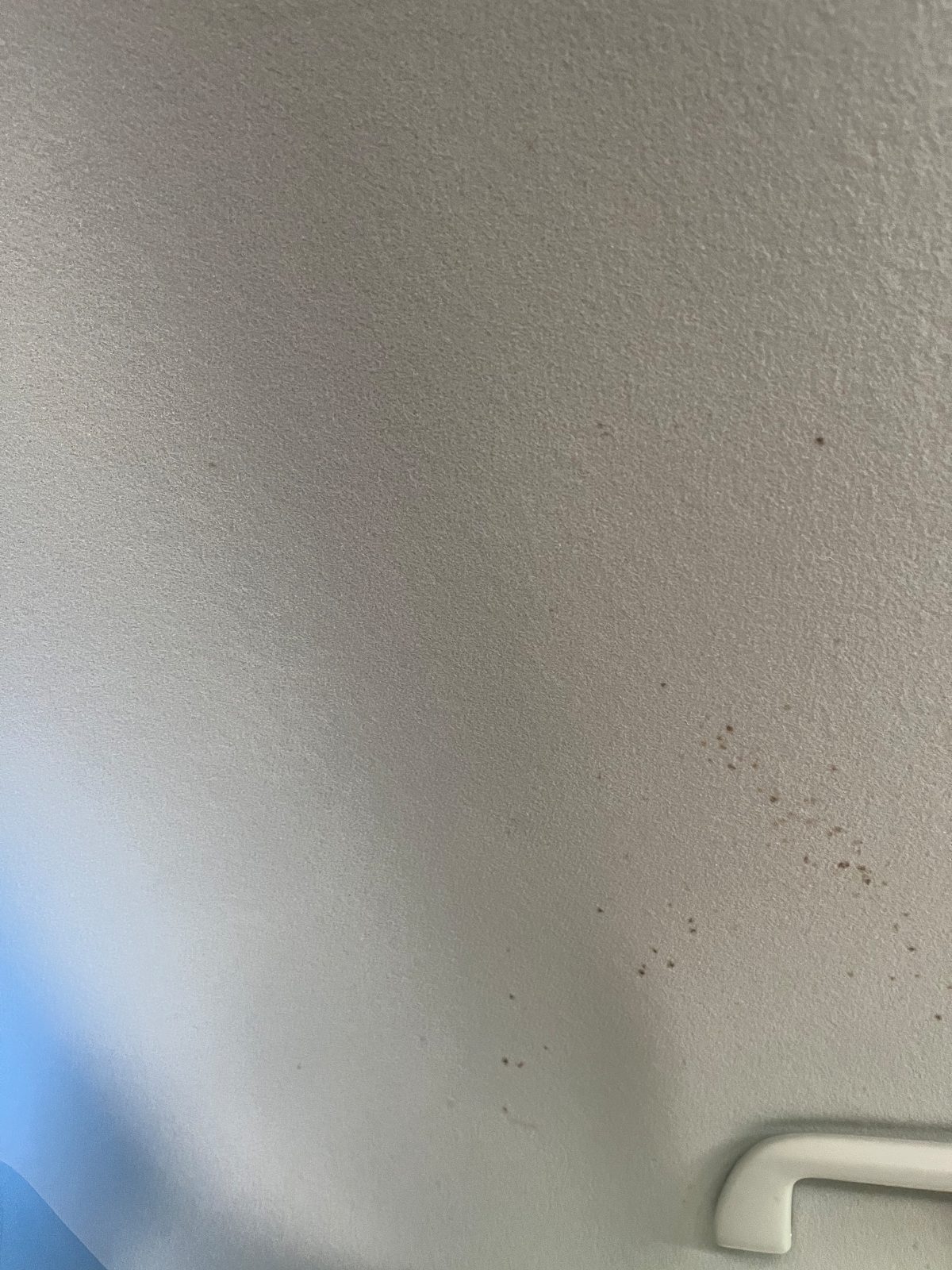 Car headliner before interior detailing — stained and spotted fabric